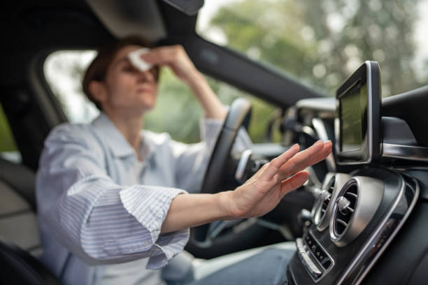 Best Air Conditioning Cleaning in Fairview Park, IN